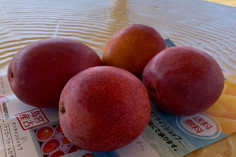 マンゴーファームひろ