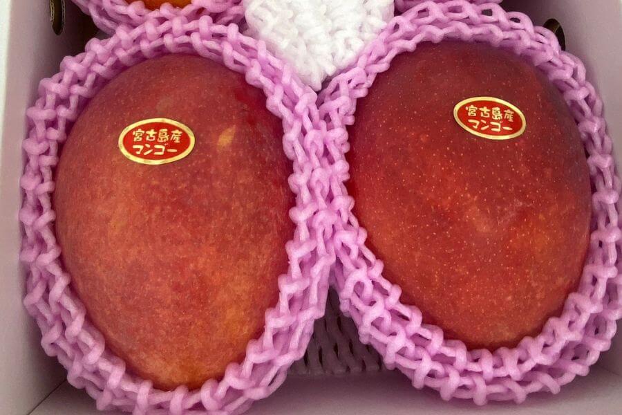 マンゴーファームひろ